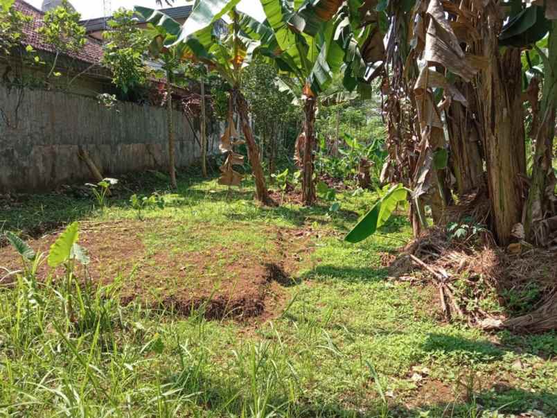 dijual tanah karangsalam kidul kec