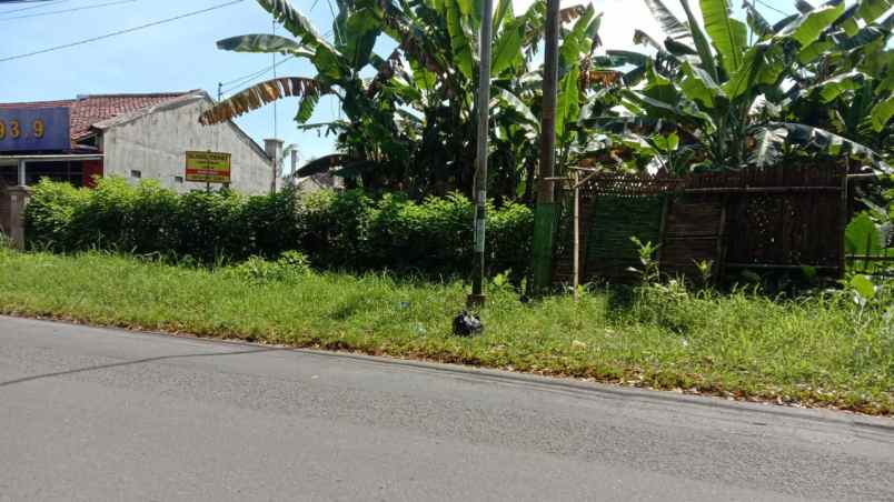 dijual tanah karangsalam kidul kec