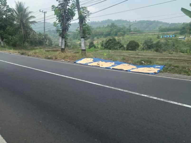 dijual tanah kasembon