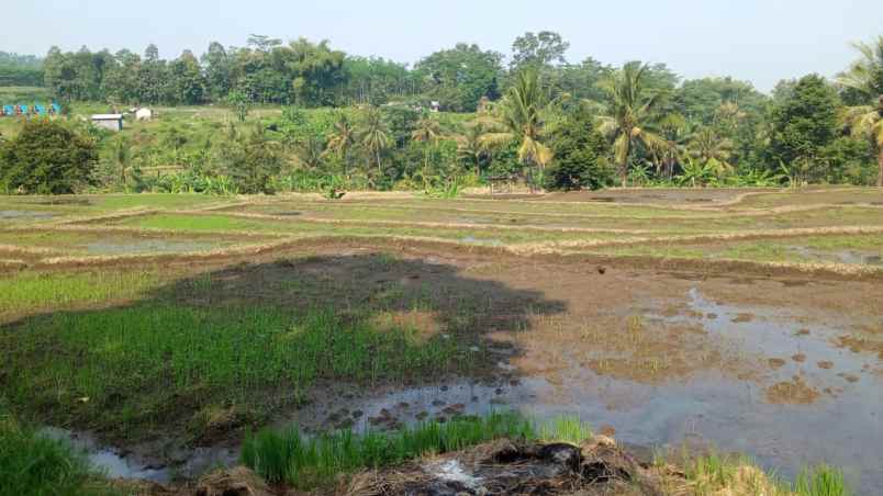 dijual tanah kasembon