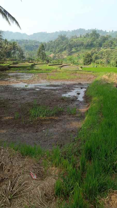 dijual tanah kasembon