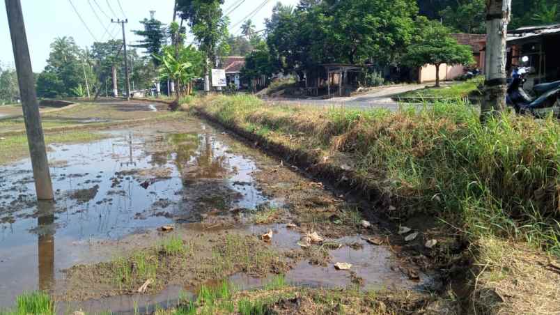 dijual tanah kasembon