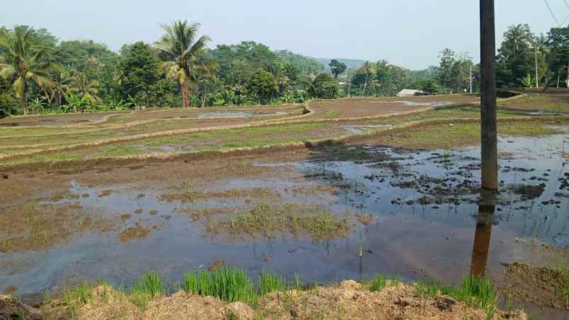 dijual tanah kasembon