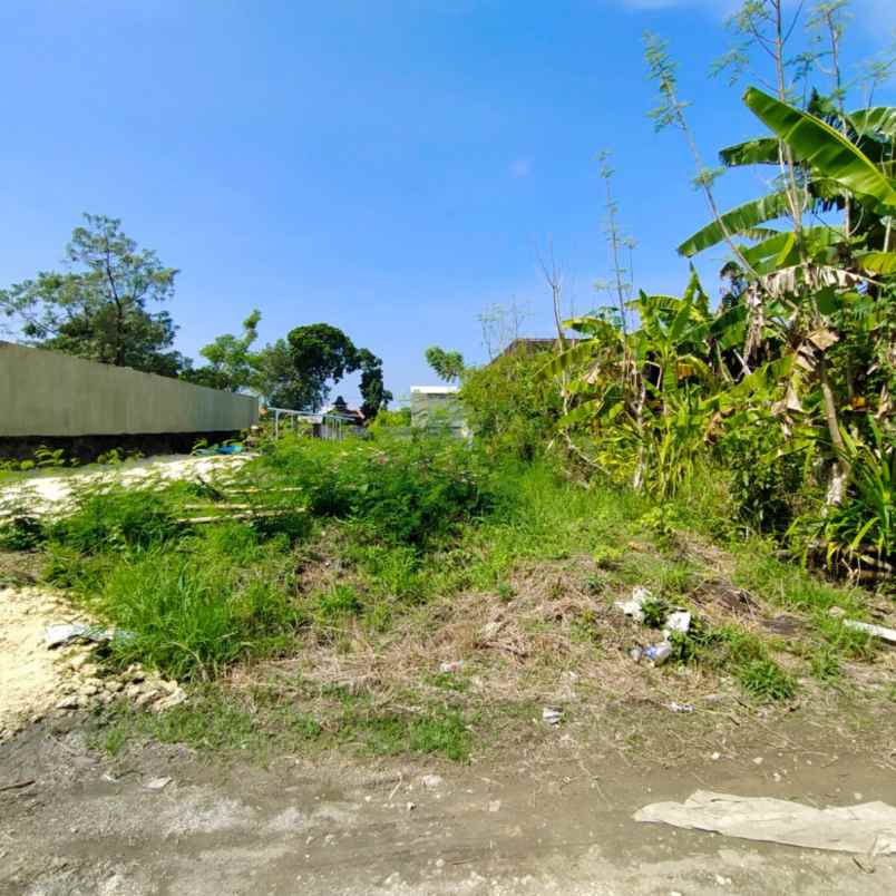 dijual tanah kebo iwo utara