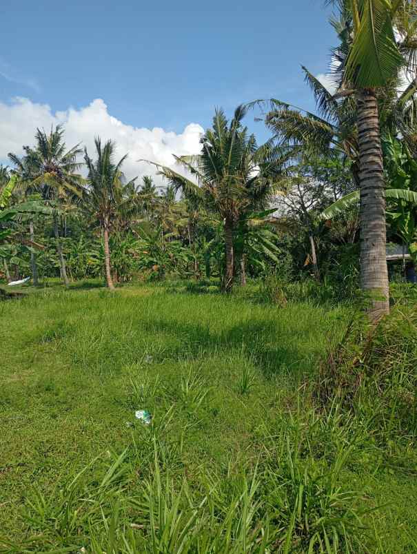 dijual tanah kelurahan klatak kecamatan