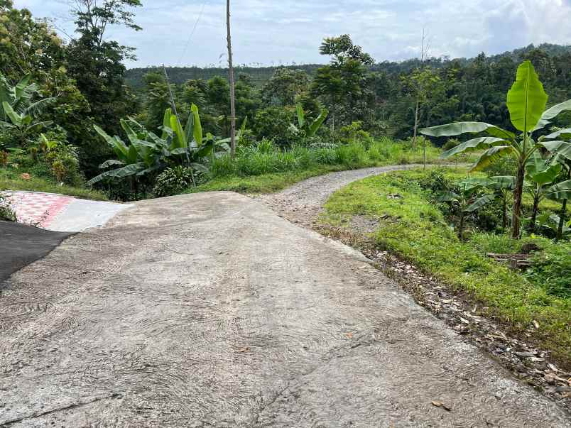 dijual tanah kemuning ngargoyoso