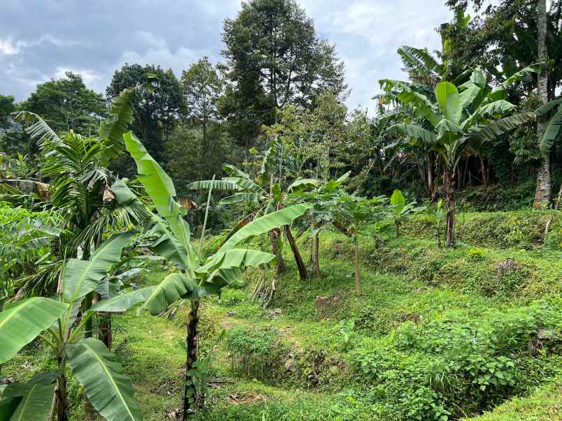 dijual tanah kemuning ngargoyoso