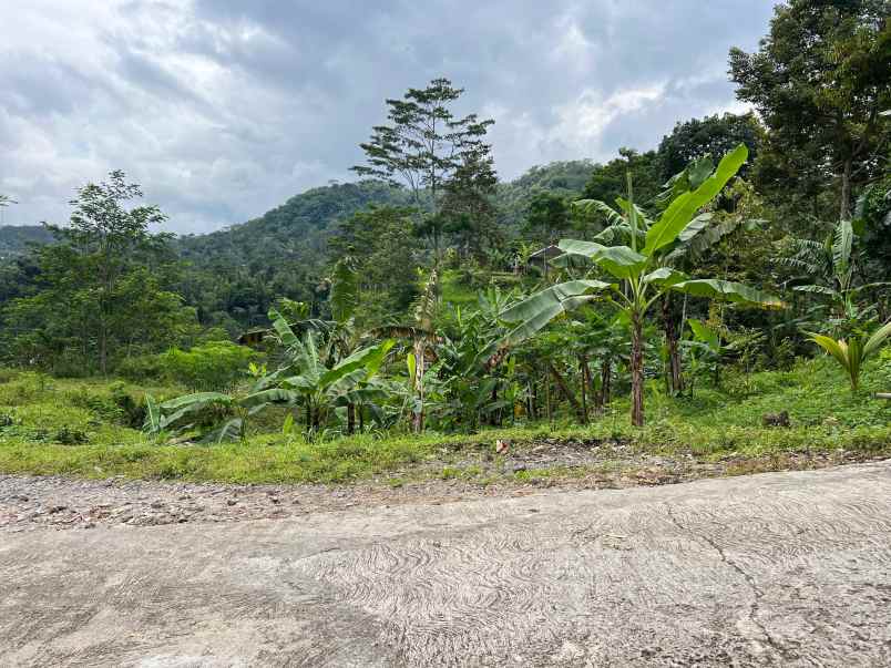 dijual tanah kemuning ngargoyoso