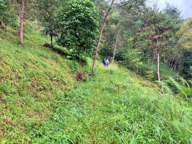 dijual tanah komplek hutan pinus kemuning karanganyar