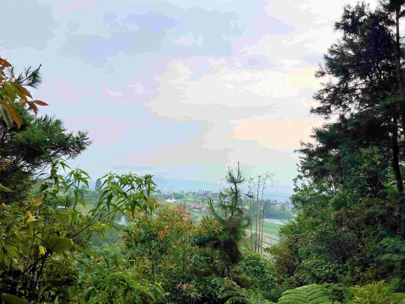 dijual tanah komplek hutan pinus kemuning karanganyar