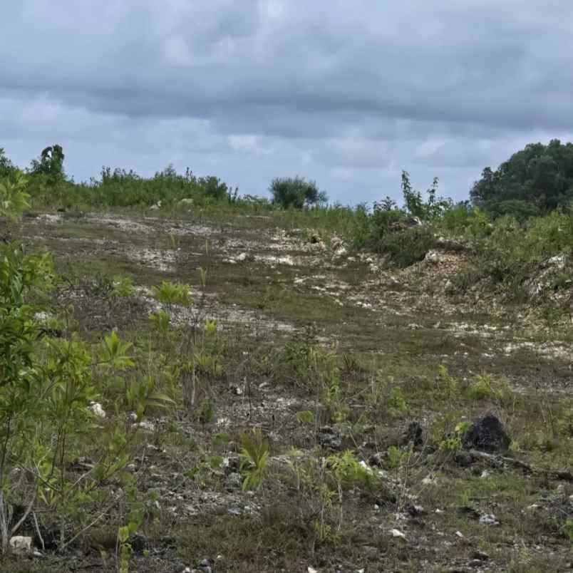 dijual tanah labuansait