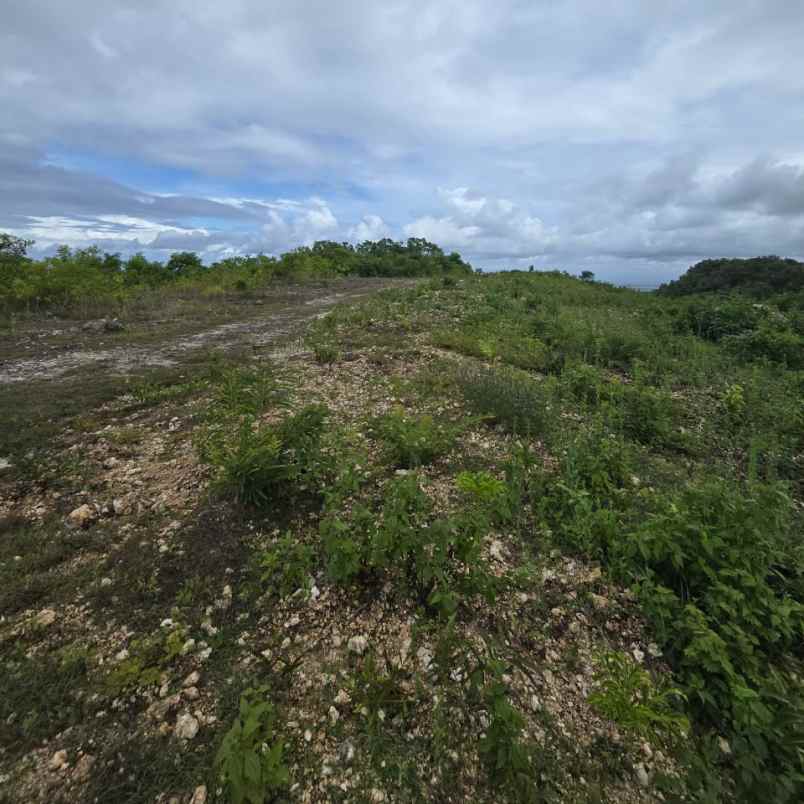 dijual tanah labuansait