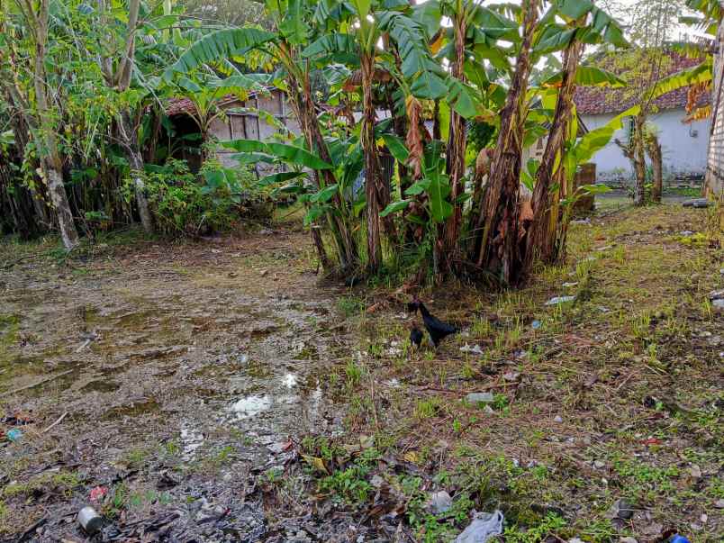 dijual tanah luas 1389 m2 lokasi jln kh moch yasin