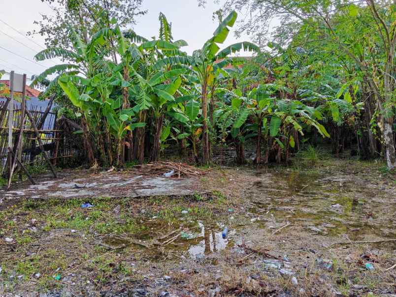 dijual tanah luas 1389 m2 lokasi jln kh moch yasin