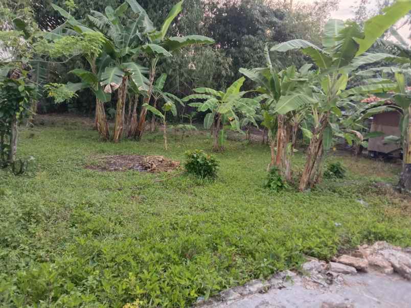 dijual tanah luas 1389 m2 lokasi jln kh moch yasin