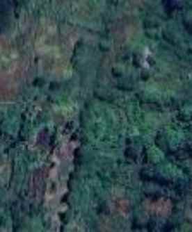 dijual tanah mayjen sungkono