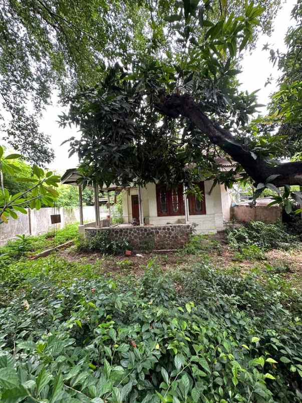 dijual tanah menteng