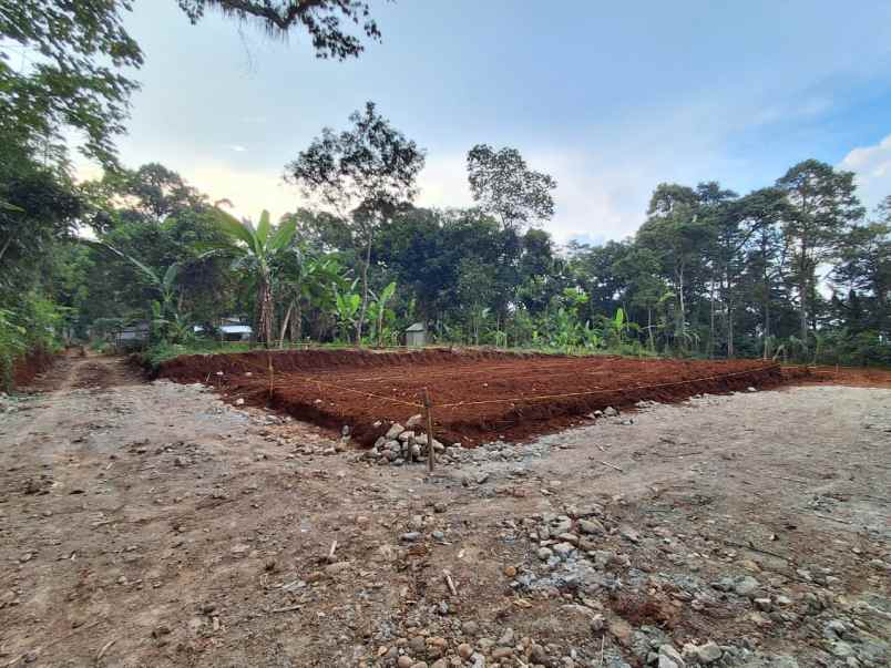 dijual tanah nongkosawit
