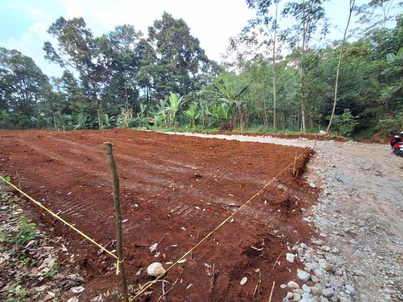 dijual tanah nongkosawit