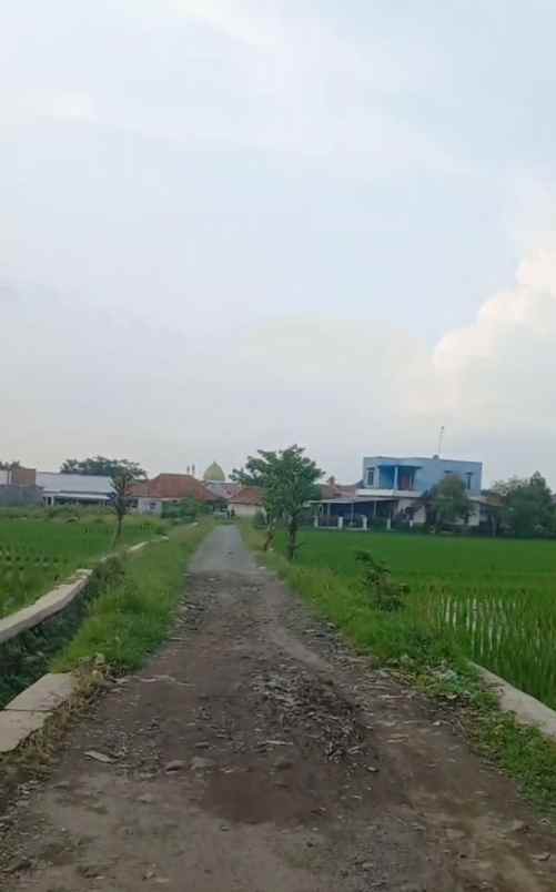 dijual tanah padasuka