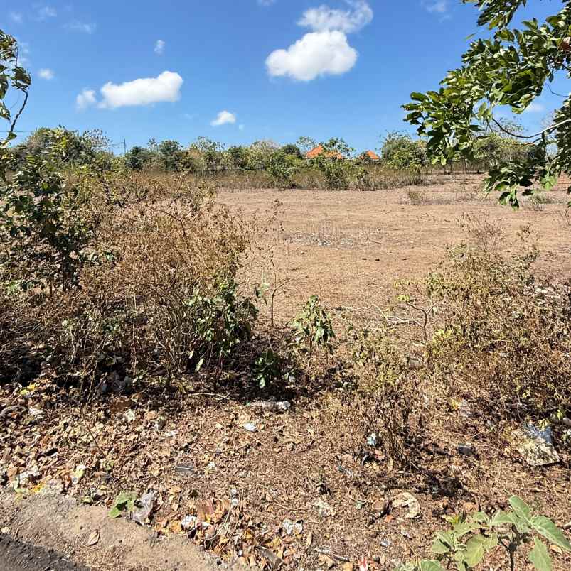 dijual tanah pantai balangan