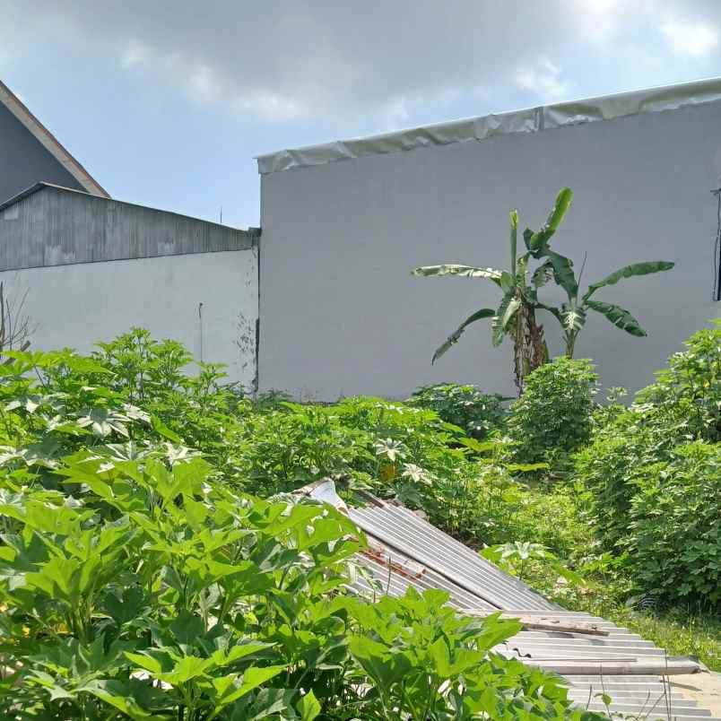 dijual tanah pantai mengening