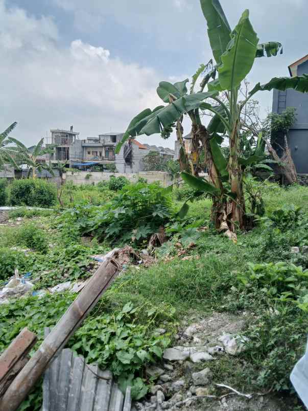 dijual tanah pantai mengening