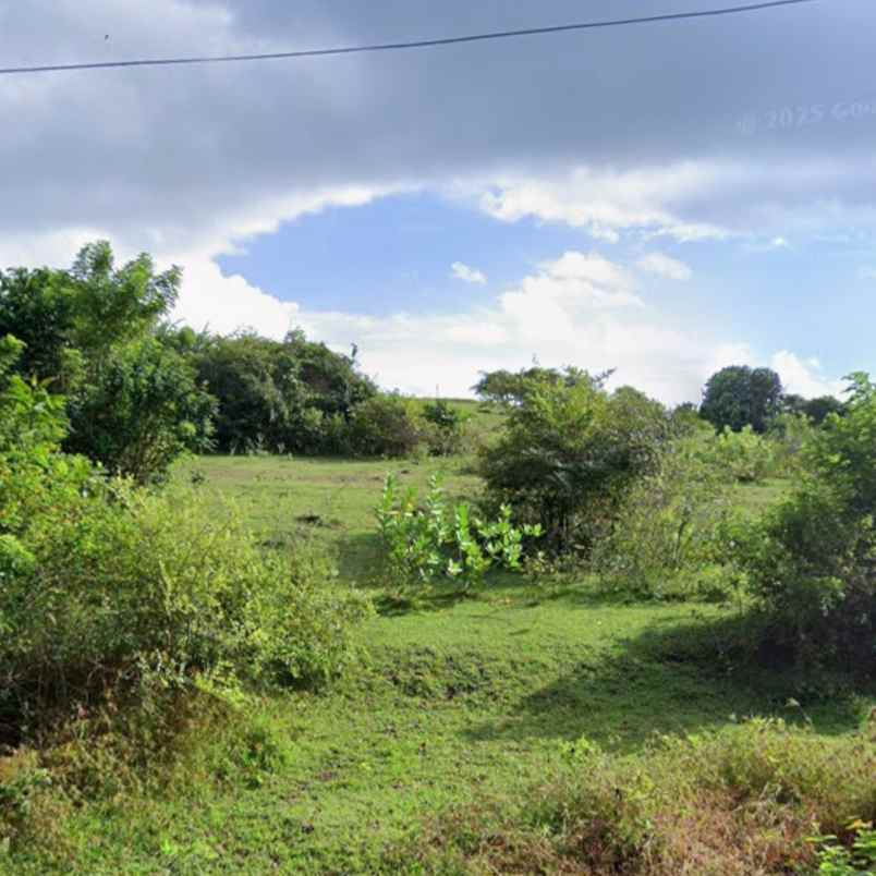 dijual tanah pantai pandawa