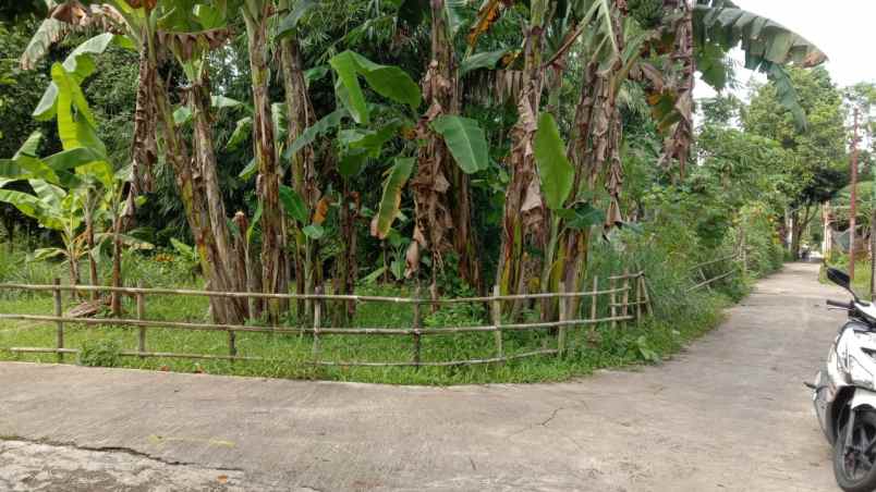 dijual tanah pekarangan hook lokasi strategis