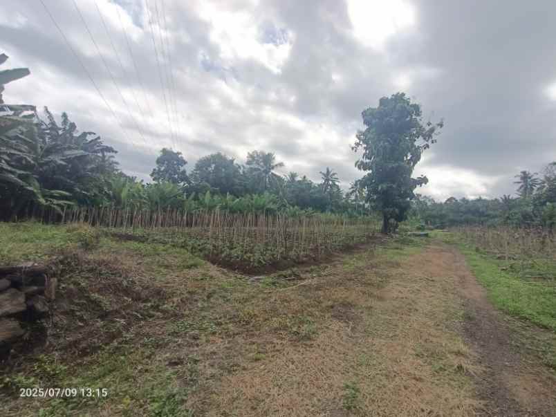 dijual tanah pekutatan jembrana bali