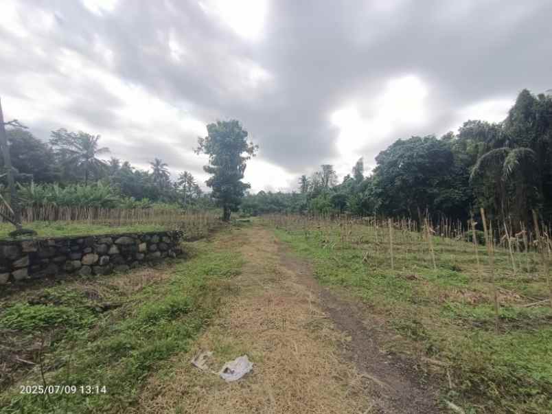 dijual tanah pekutatan jembrana bali