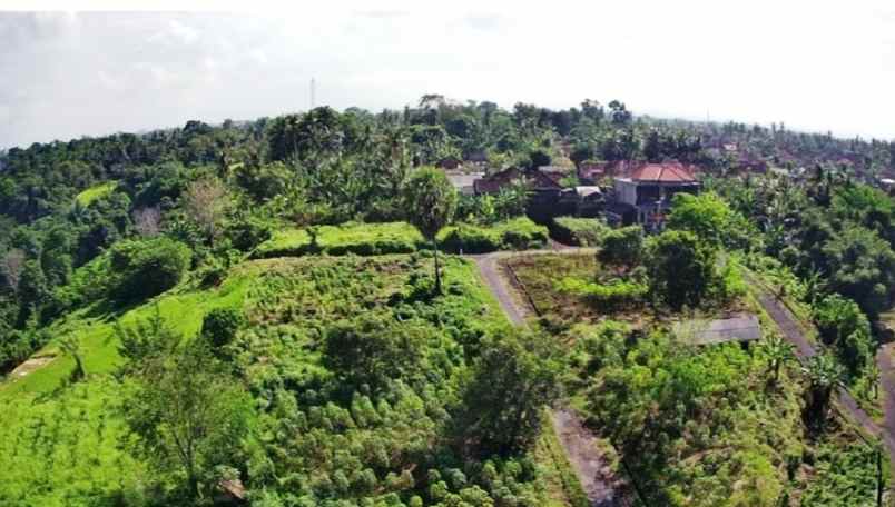 dijual tanah pinda saba gianyar