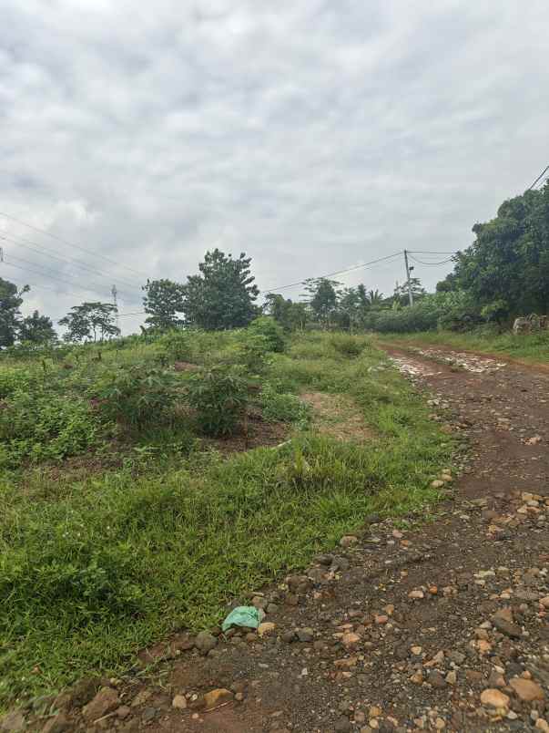 dijual tanah podorejo