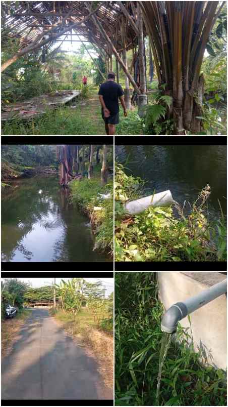 dijual tanah ponggok klaten