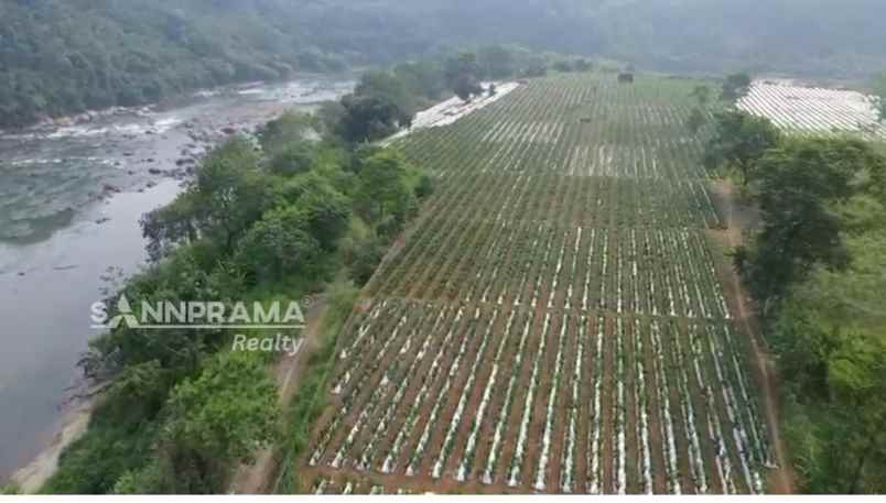 dijual tanah rancabungur bogor