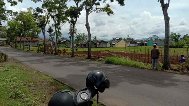 dijual tanah sawah akses mobil papasan