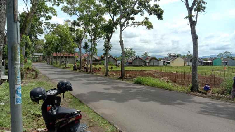dijual tanah sawah akses mobil papasan