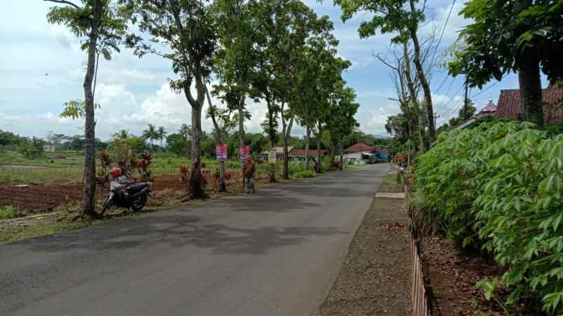 dijual tanah sawah akses mobil papasan