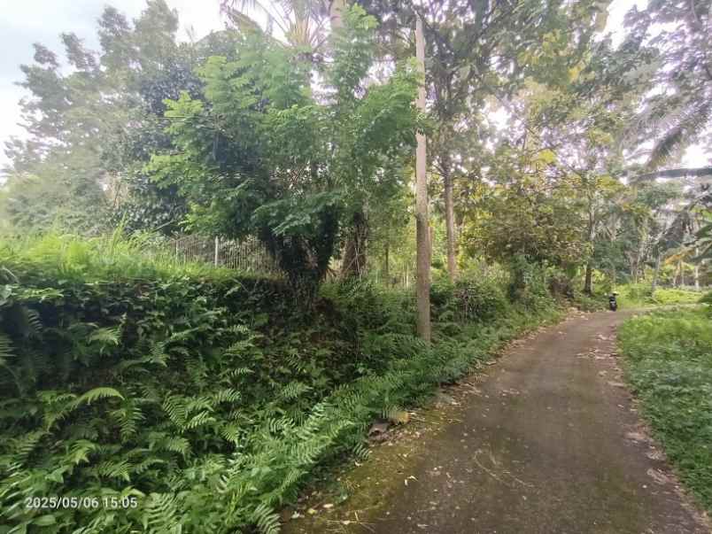 dijual tanah selemadeg tabanan bali
