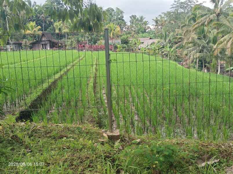 dijual tanah selemadeg tabanan bali