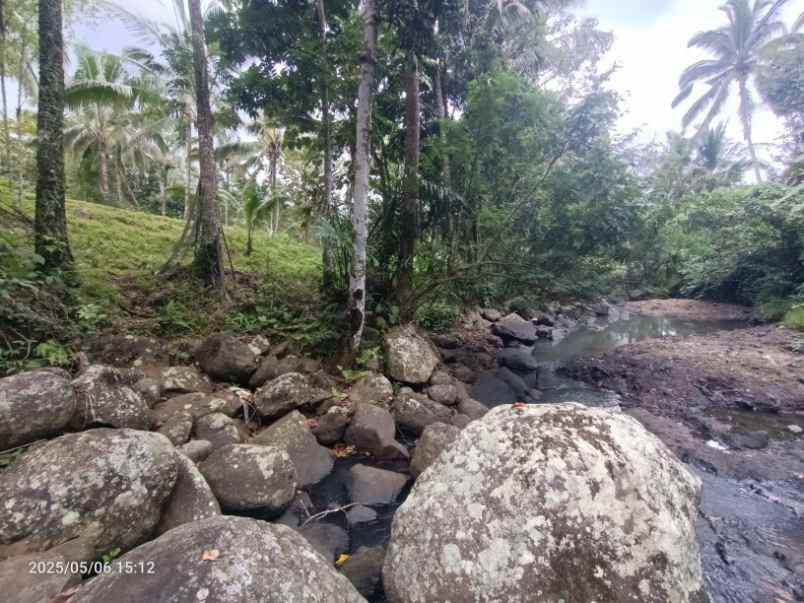 dijual tanah selemadeg tabanan bali