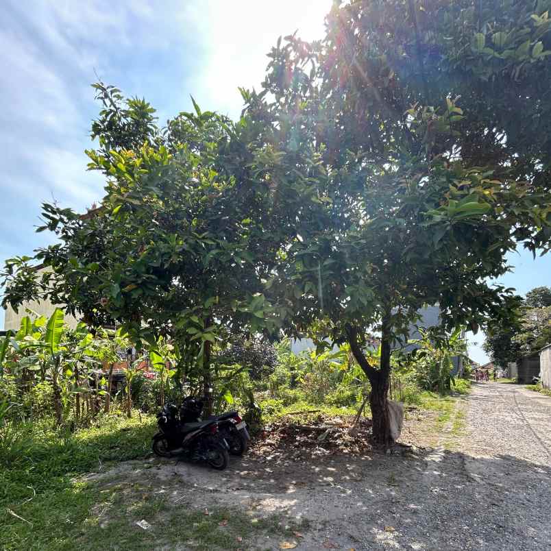 dijual tanah selingsing