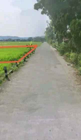 dijual tanah sorogedug madurejo