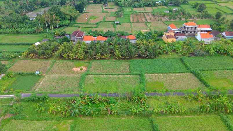 dijual tanah strategis 3 46 are tedung gianyar