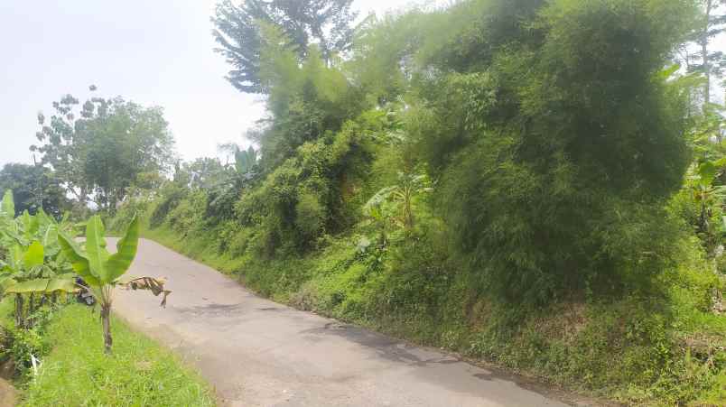 dijual tanah sukamakmur bogor