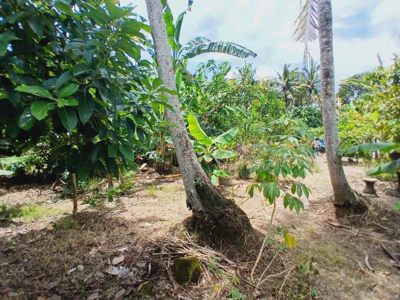 dijual tanah tanah lot