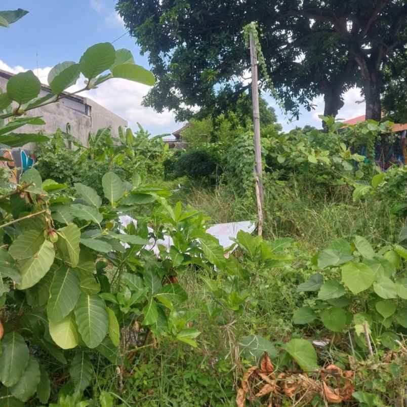 dijual tanah tangkuban perahu