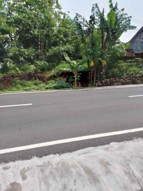 dijual tanah tepi jl raya kedawung sragen