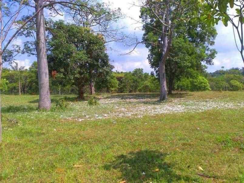 dijual tanah the taman dayu cluster
