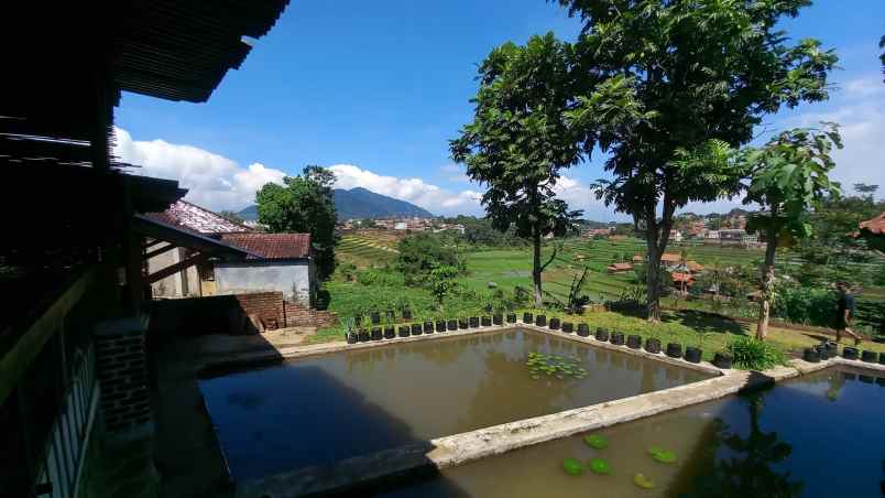 dijual villa tanjungsari